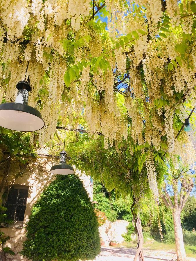 La Chambre D'Apolline Grambois ภายนอก รูปภาพ
